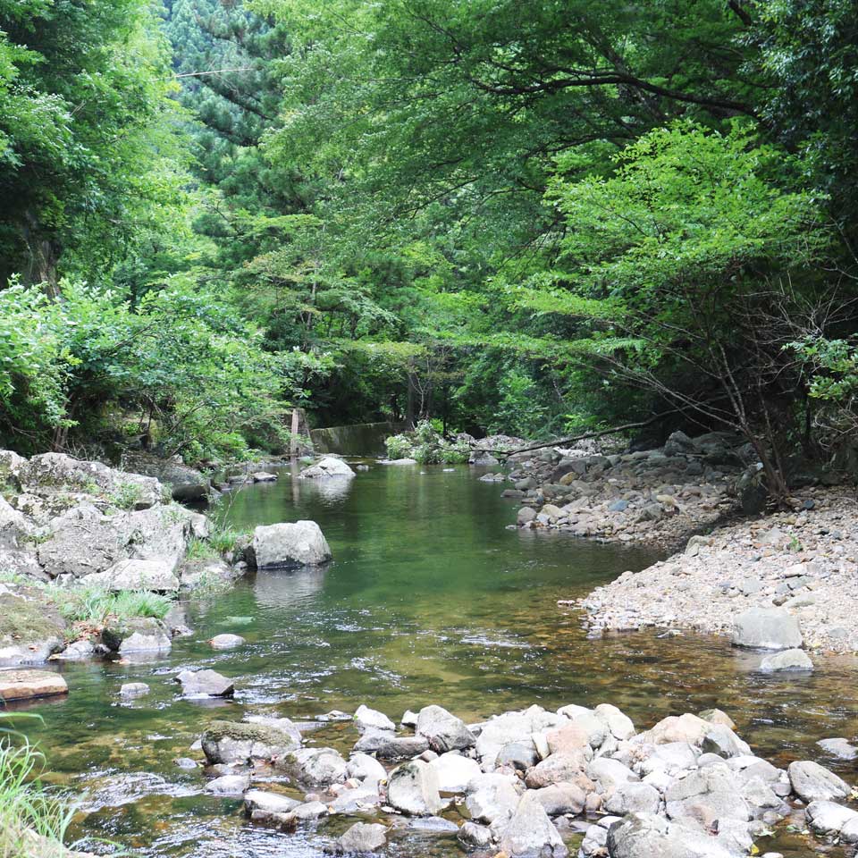 愛知県東栄町の自然